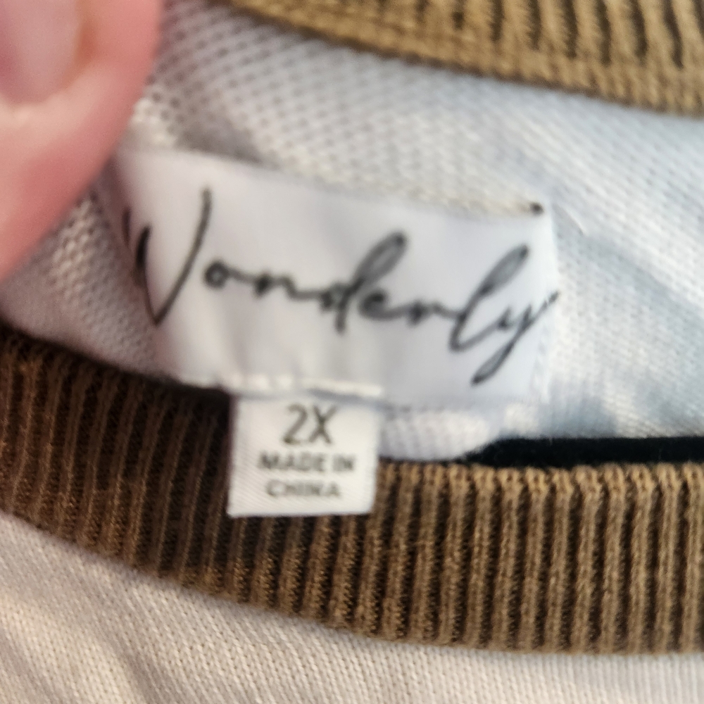 Wonderly Cream Long Sleeve Blouse Size 2XL Euc - Picture 2 of 4